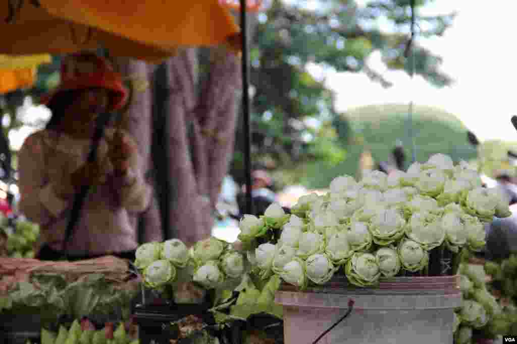 ផ្កាឈូកដែលសិស្សវិទ្យាល័យទើបប្រឡងជាប់ទិញសម្រាប់ថ្វាយព្រះ