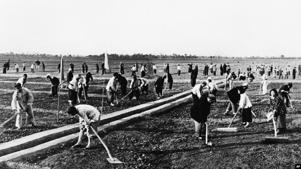 历史照片：在河南省某人民公社集体劳动的农民。(1959年9月17日)(photo:VOA)