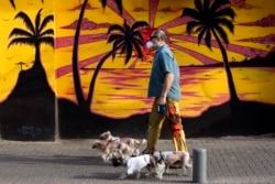 A man walks dogs while he wears a protective face mask amid concerns over the country's coronavirus outbreak, in Tel Aviv, Israel, Monday, April 6, 2020. (AP Photo/Oded Balilty)