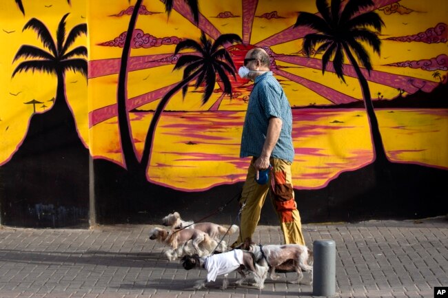 A man walks dogs while he wears a protective face mask amid concerns over the ｃountry's coronavirus outbreak, in Tel Aviv, Israel, Monday, April 6, 2020. (AP Photo/Oded Balilty)