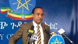 “ናይ ወጻኢ ሸርፊ ብስርዓት ባንክ ናብ ኢትዮጵያ ከይኣትው ዝብል ወፍሪ ኣብ ሓድሽ ዓመት ዝቐረበ አረጊት ገጸ በረኸት’ዩ” መለስ አለም