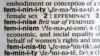 Merriam-Webster's Word of the Year for 2017: 'Feminism'