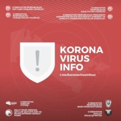 O'zbekiston Sog'liqni saqlash vazirligi va butun hukumat koronavirus haqida berayotgan ma'lumotlar KoronavirusInfo Telegram kanalida taqdim etiladi, lekin ko'plab jurnalistlar va blogerlarga ko'ra, bu informatsiya yetarli emas, qolaversa o'z vaqtida chiqmayapti