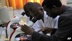 Para ilmuwan di Afrika melakukan penelitian malaria di laboratorium (foto: dok). 