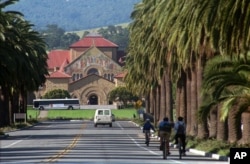 Palma Yolu, Stanford Universitetinin girəcəyi