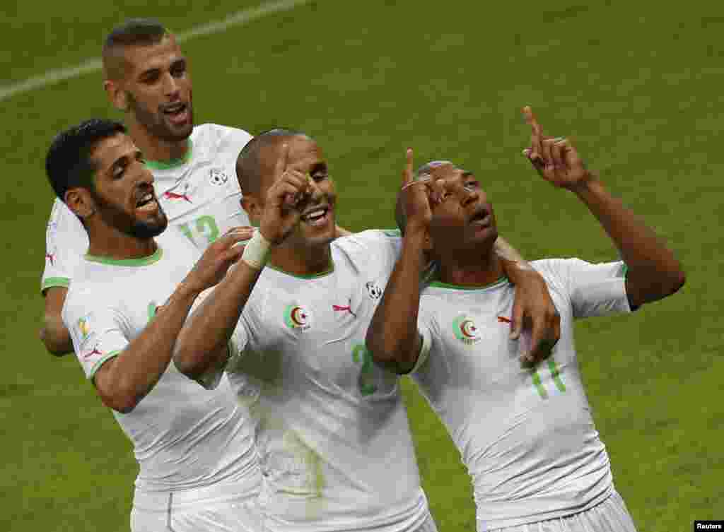 Algeria's national soccer players celebrate their team's fourth goal by Yacine Brahimi at the Beira Rio stadium in Porto Alegre, June 22, 2014. Pictured are: (counter clockwise from top) Algeria's Islam Slimani, Rafik Halliche, Madjid Bougherra and Yacin