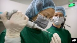 In this Oct. 9, 2018 photo, Zhou Xiaoqin, left, loads Cas9 protein and PCSK9 sgRNA molecules into a fine glass pipette as Qin Jinzhou watches at a laboratory in Shenzhen in southern China's Guangdong province. (AP Photo/Mark Schiefelbein)