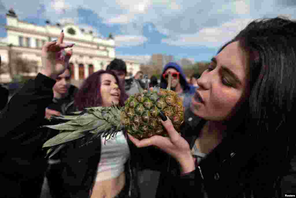 불가리아 소피아의 의회 앞에서 마리화나 합법화를 주장하는 시위자가 파인애플에 꽂은 마리화나를 피고 있다.