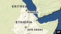 Ethiopia Advocates Overthrow of Eritrean Government