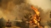 Seorang petugas memadamkan kebakaran hutan di dekat kota Manavgat, sebelah timur kota resor Antalya, Turki, 30 Juli 2021. (Foto: REUTERS/Kaan Soyturk)