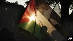 An Egyptian woman waves the Palestinian flag in solidarity with Gaza during a protest against Israel's military operation in the region, in Cairo, Egypt, November 15, 2012.