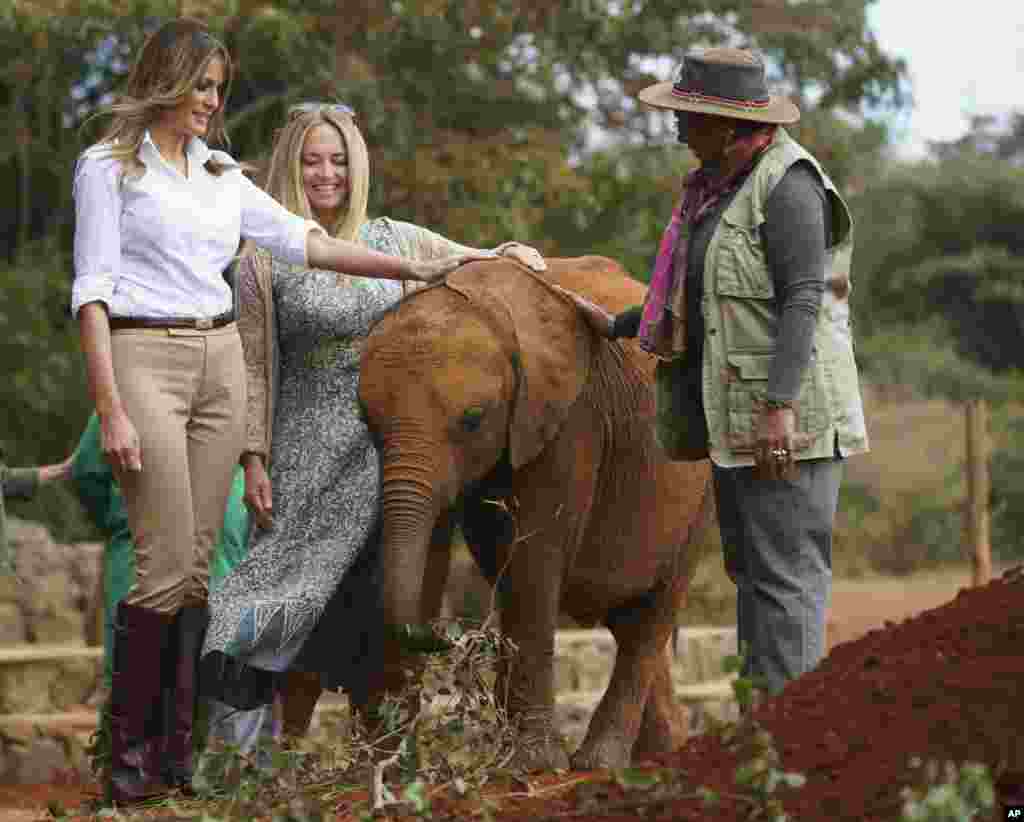 លោកស្រី Melania Trump លេងជាមួយកូនដំរីមួយក្បាលនៅកន្លែងចិញ្ចឹមដំរីក្នុងរដ្ឋធានីណៃរ៉ូប៊ី ប្រទេសកេនយ៉ា កាលពីថ្ងៃទី០៥ ខែតុលា ឆ្នាំ២០១៨។