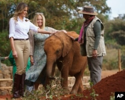 Ibu Negara AS, Melania Trump bersama Ibu Negara Kenya, Margaret Kenyatta, mengusap kepala bayi gajah di David Sheldrick Elephant and Rhino Orphanage, di Taman Nasional Nairobi di Nairobi, Kenya, 5 Oktober 2018.