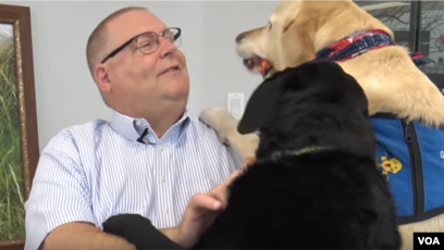 dogs that detect low blood sugar