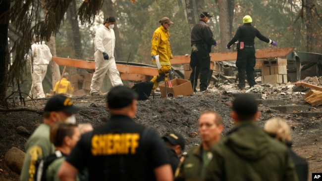 加州搜救人员在被“坎普大火”烧成废墟的天堂镇寻找死难者遗骸