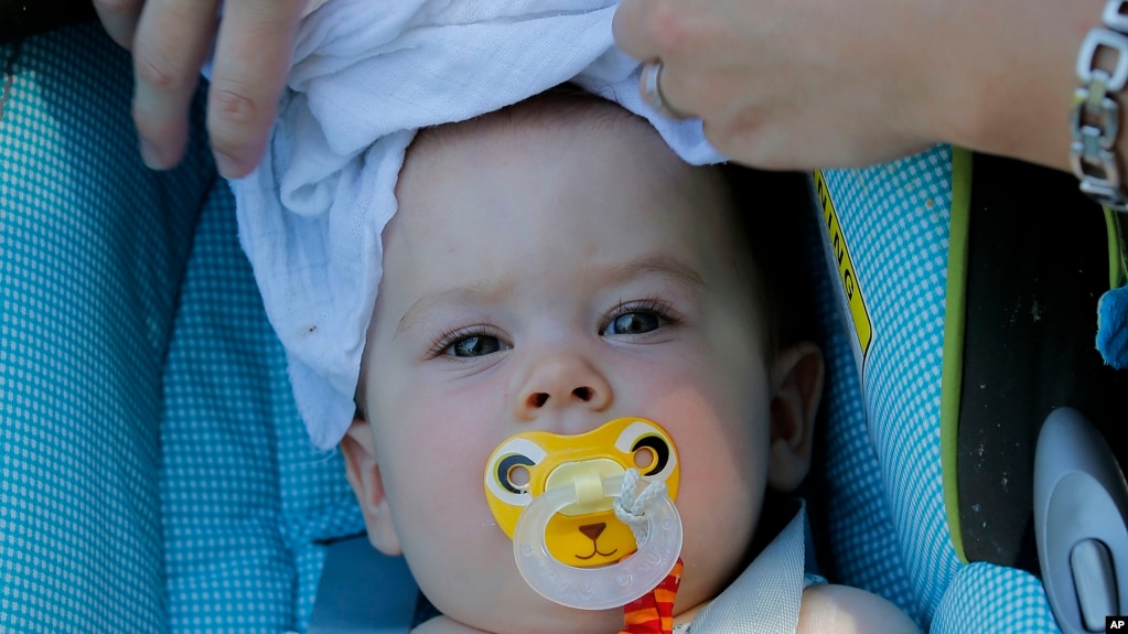 Rosie Massey, 7 months, has a wet blanket placed on her head to keep cool at the Phoenix Zoo by her mom, Ilse Massey, Friday, June 28, 2013 in Phoenix.
