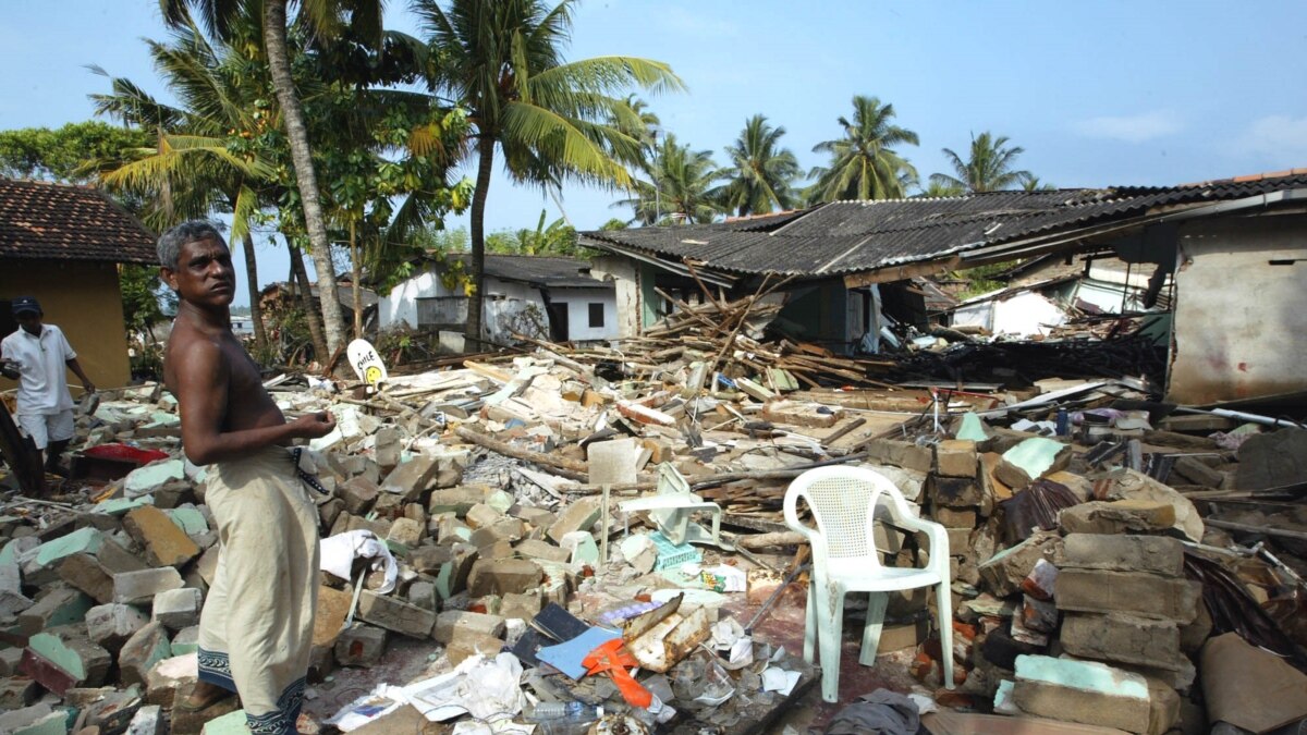 Q A with Michele Gamburd Nine Years After the Tsunami