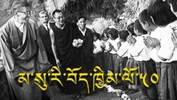 མ་སུ་རི་བོད་ཕྲུག་ཁྱིམ་སྡེ་དབུ་བརྙེས་ནས་ལོ་༥༠