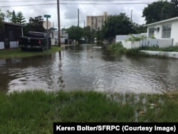 Tidal flooding in Highland Village, North Miami Beach. As tidal flood waters rise, among the things that city officials and scientists need to know is whether the water poses a health risk.
