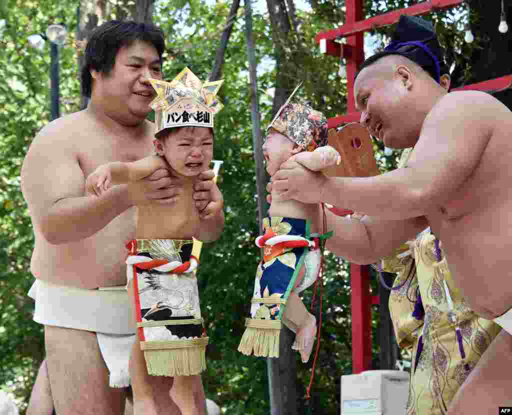 Babies held by amateur sumo wrestlers cry during the "baby-cry sumo" competition at the Irugi shrine in Tokyo, Japan.