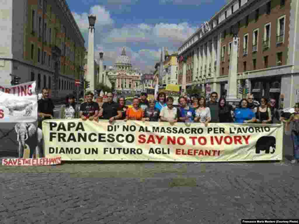 "Papa Francisco: Diz não ao marfim". Manifestação no Vaticano contra a caça furtiva em Moçambique. Foto de Francesco Maria Mantero.