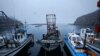 EU Rolls Out Trade Bans in Global Crackdown on Illegal Fishing