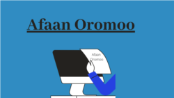 Akkaadaamiin Afaan Oromoo Akka Hundeessamu Gaafatamaa Jira