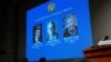 Three Americans Share Nobel Prize in Medicine