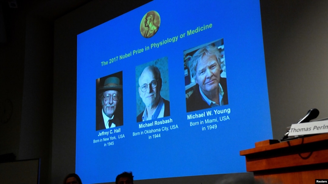 3 American Scientists Awarded 2017 Nobel Prize for Medicine