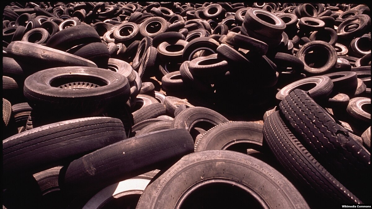 New Research Could Mean Biodegradable Rubber Tires