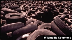 New research could result in tires that biodegrade and recycle easily. 