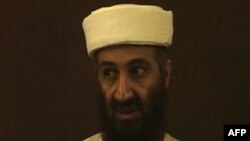 CIA: Bin Laden ishte udhëheqës aktiv i operacioneve të al-Kaidës