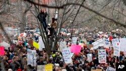 En Washington, las personas se sientan en un árbol encima de los manifestantes que portan letreros y cantan en el parque Lafayette cerca de la Casa Blanca durante una manifestación.