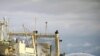 Kelompok 'Sea Shepherd' Berhasil Tekan Perburuan Ikan Paus