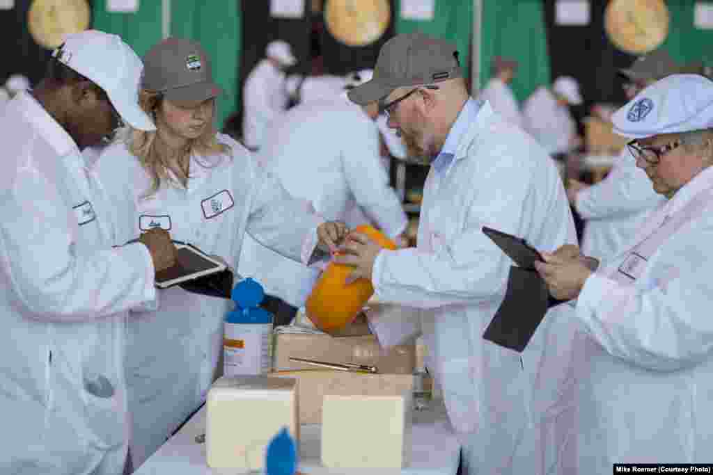 A team of judges tallies the scoring for a wheel of cheese at the U.S. Cheese Championship, held in Green Bay, Wis., March 5, 2019. All cheeses start with 100 points and are docked fractions of points for flaws. 