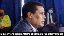 አምባሳደር ዲና ሙፍቲ