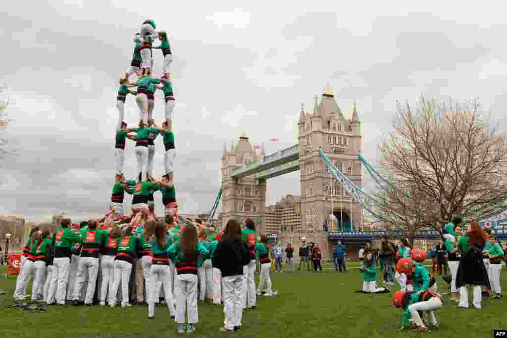 Members of the &quot;Castellers de Villafranca&quot; Human Tower team form a &quot;castell&quot; near the Tower Bridge in central London. The Castellers de Villafranca are in London to promote Catalan culture and will be constructing human towers, a practice that is entered by UNESCO on the list of the Intangible Cultural Heritage of Humanity, in various locations around the captial.