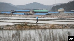 FILE - A man walks through a salt farm on Sinui Island, South Korea, April 3, 2014. A court ruled Sept. 8, 2017, that the South Korean government must pay 37 million won ($33,000) to a man who'd been held as a slave there. Three others also must be paid, a court ruled Friday.