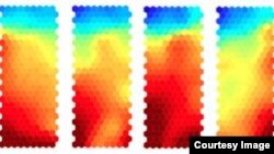 Aggressor cells, which have the potential to cause autoimmunity, are targeted by treatment, causing conversion of these cells to protector cells. Gene expression changes gradually at each stage of treatment, as illustrated by the color changes in this series of heat maps. (Credit: University of Bristol/Dr. Bronwen Burton