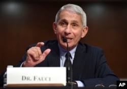 အမေရိကန်က ကူးစက်ရောဂါဆိုင်ရာ ထိပ်တန်းပညာရှင် Dr Anthony Fauci