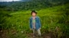 Indonesia vẫn chật vật quản lý rừng mưa nhiệt đới tự nhiên