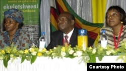 A large number of Zimbabweans participated in the formulation of the nation's new constitution.