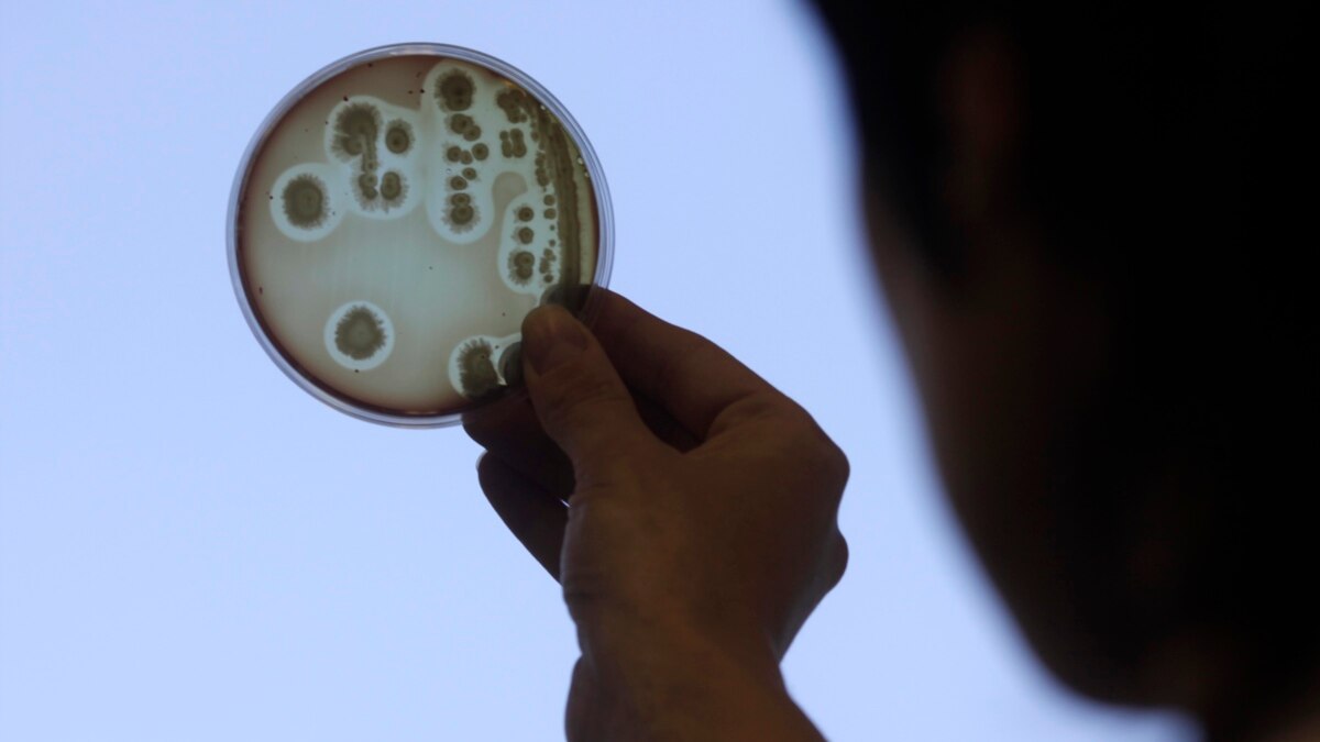 Ilmuwan Kembangkan Alat yang Deteksi Bakteri Dalam Hitungan Hari