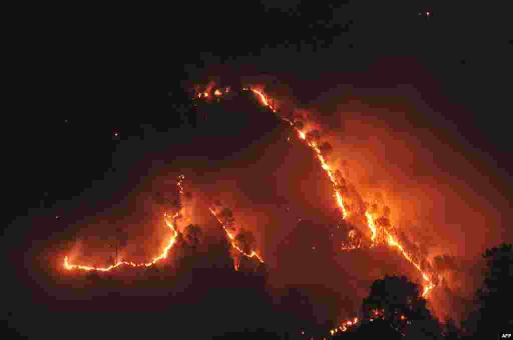Wildfires burn through jungle near the northern hill town of Shimla in the Indian state of Himachal Pradesh.