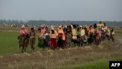 မြန်မာနိုင်ငံတွင်း စစ်တပ်ရဲ့နယ်မြေရှင်းလင်းမှုတွေကြောင့် နေရပ်စွန့်ခွာထွက်ပြေးလာတဲ့ ရိုဟင်ဂျာ ဒုက္ခသည်များကို ဘင်္ဂလားဒေ့ရှ် နယ်စပ်အနီးတွင်တွေ့ရစဉ် (စက်တင်ဘာ ၄၊ ၂၀၁၇)