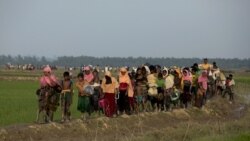 ကန်လက်ထောက်နိုင်ငံခြားရေးဝန်ကြီး တောင်အာရှခရီးစဉ်မှာ ရိုဟင်ဂျာအကြောင်း ဆွေးနွေးဖို့ရှိ
