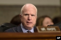 FILE - Senate Armed Services Committee Chairman Sen. John McCain, R-Ariz. speaks on Capitol Hill in Washington.