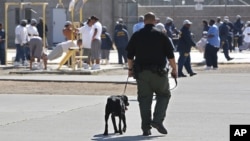 FILE - Inmates exercise, under guard, in the main yard at California State Prison in Vacaville, May 20, 2015.