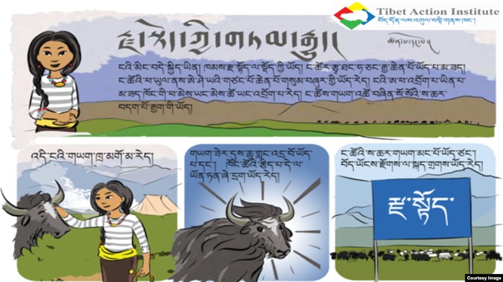 A new comic story recounts a successful campaign by Tibetans in Tibet