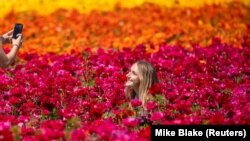 Norah Miller has her picture taken by her friend Emma McCain as they visit the 50 acres of Ranunculus flowers at "The Flower Fields" in Carlsbad, California, March 31, 2021. REUTERS/Mike Blake